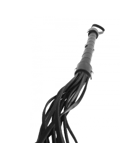 Kozni  bic sa resicama