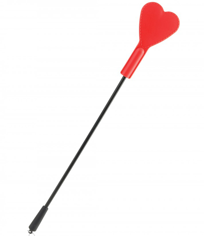 BIC SRCE HEART FLAPPER