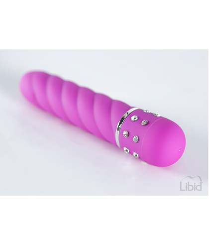 Mini vibrator - salomon