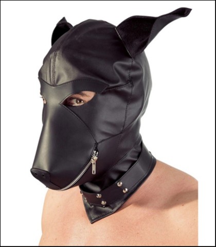 Dog mask