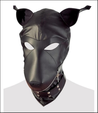 Dog mask