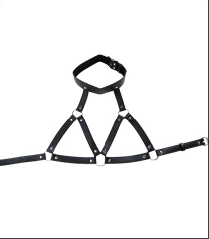Seksi harness